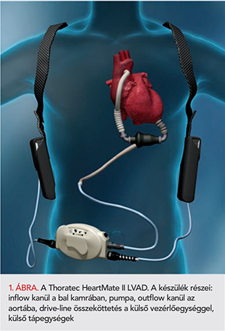 Cardiologia Hungarica